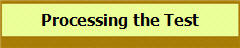 Processing the Test